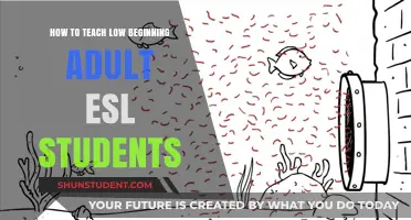 Effective Strategies for Teaching Low Beginning Adult ESL Learners