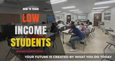 Empowering Low-Income Learners: Strategies for Equitable Education Success