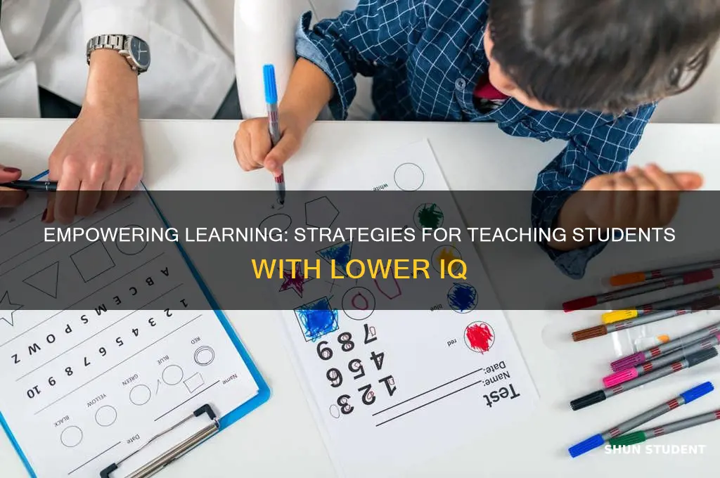 how to teach low iq student