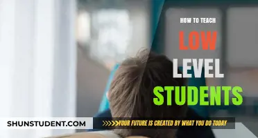Empowering Struggling Learners: Effective Strategies for Teaching Low-Level Students