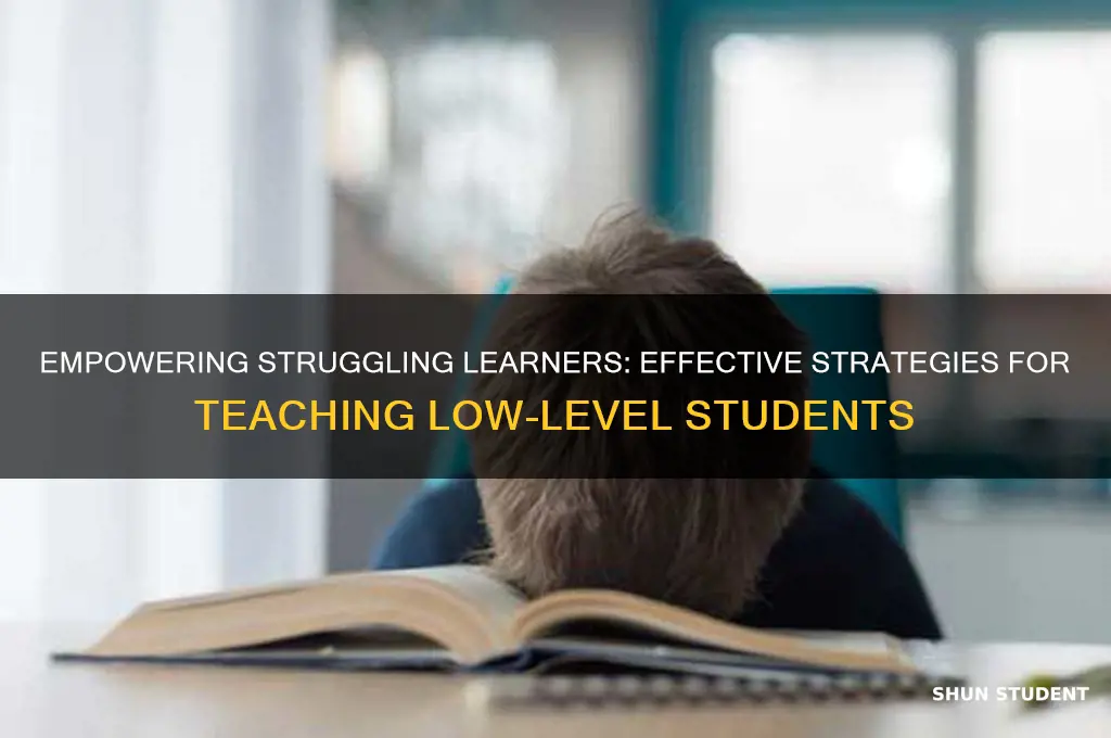 how to teach low level students