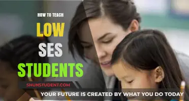 Empowering Low-SES Learners: Strategies for Inclusive and Effective Teaching