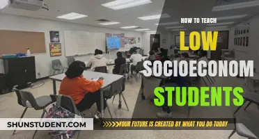 Empowering Low-Income Learners: Strategies for Inclusive and Effective Teaching