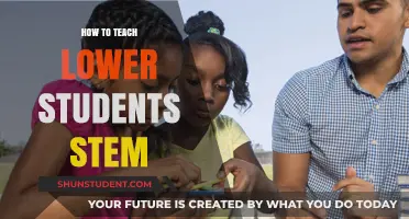 Engaging Young Minds: Effective Strategies for Teaching STEM to Lower Students