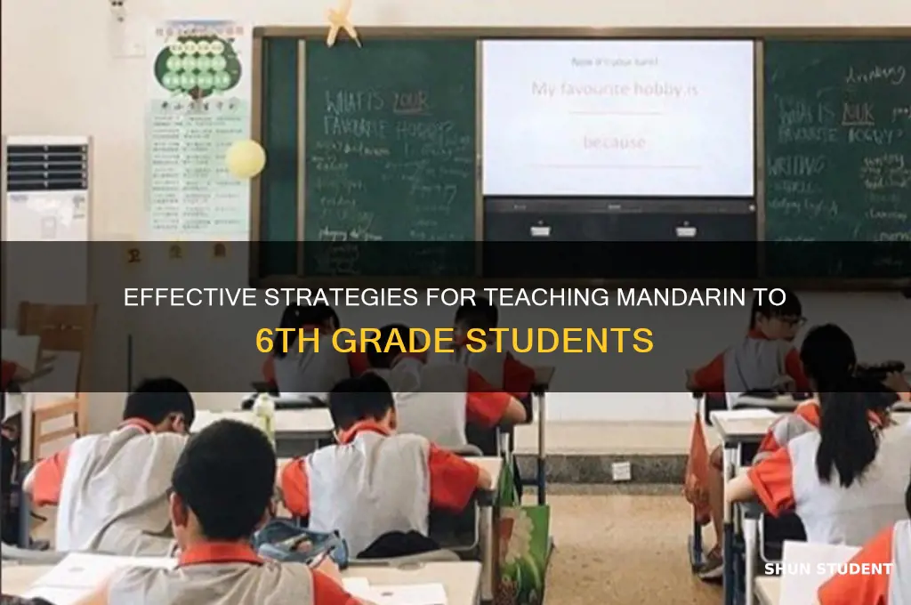 how to teach mandrain for 6th grade student