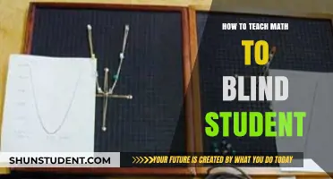 Innovative Strategies for Teaching Math to Blind Students Effectively