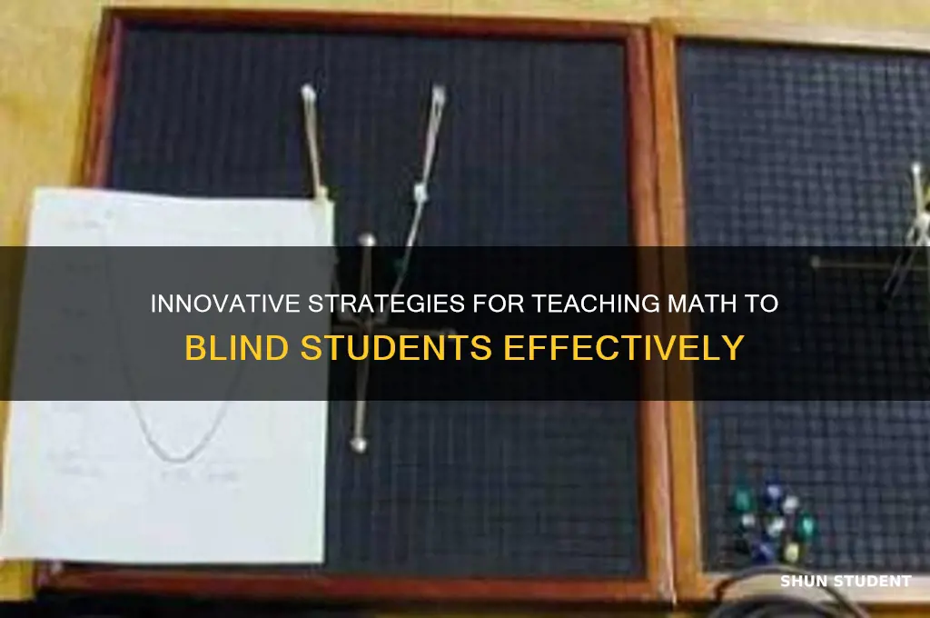 how to teach math to blind student
