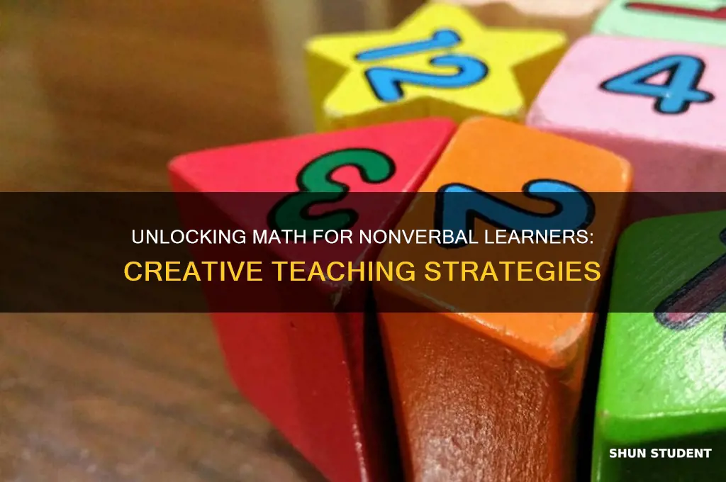 how to teach math to nonverbl students