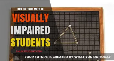 Innovative Strategies for Teaching Math to Visually Impaired Students