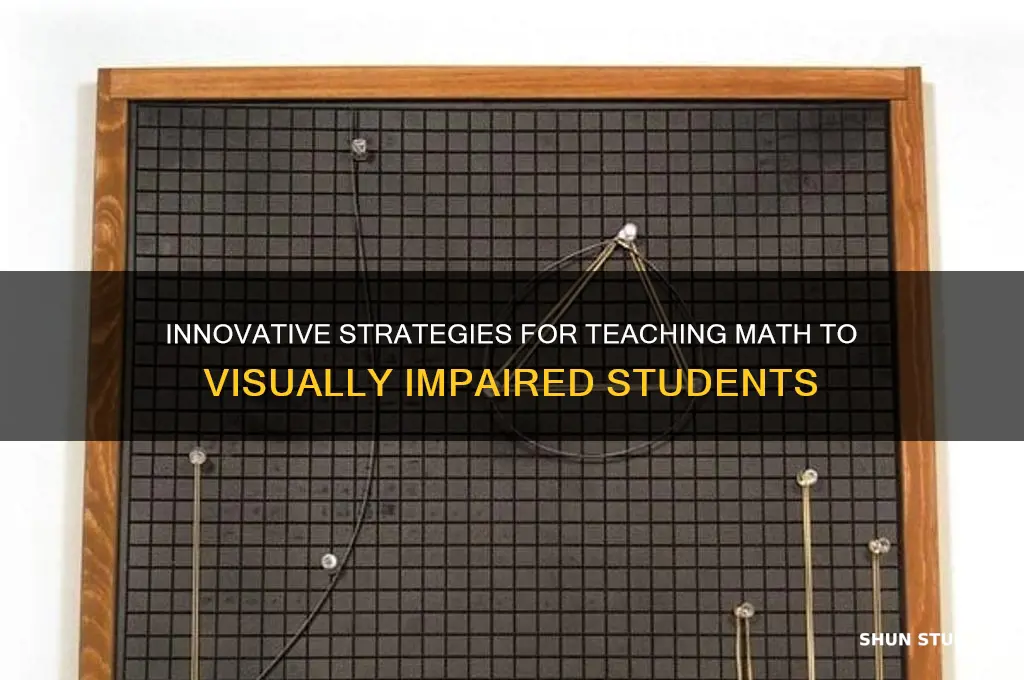 how to teach math to visually impaired students