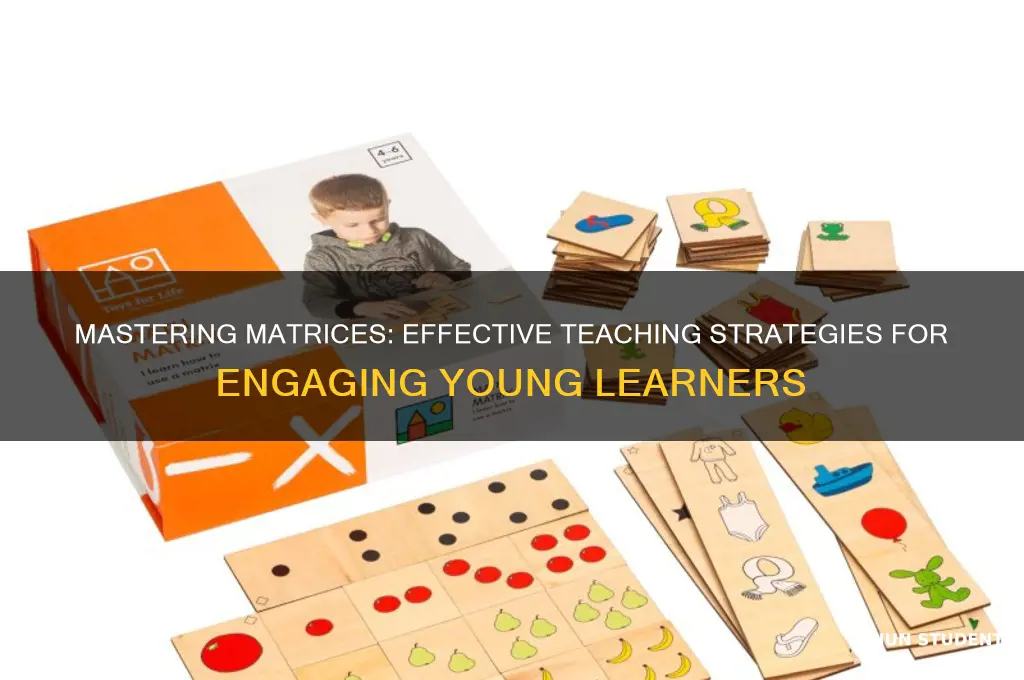 how to teach matrices to students
