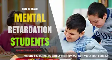 Empowering Minds: Effective Strategies for Teaching Students with Intellectual Disabilities