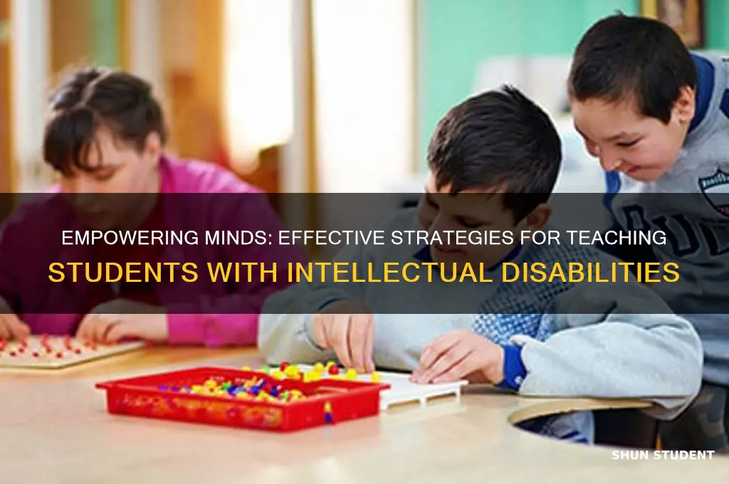 how to teach mental retardation students