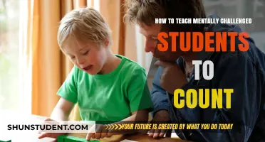 Empowering Special Learners: Effective Strategies for Teaching Counting Skills