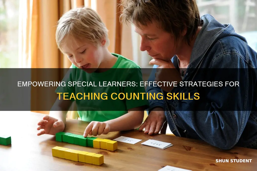 how to teach mentally challenged students to count