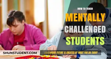 Empowering Learning: Strategies for Teaching Mentally Challenged Students Effectively