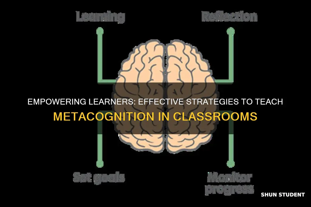 how to teach metacognition concept to students
