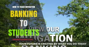 Teaching Mitigation Banking: Engaging Strategies for Student Understanding