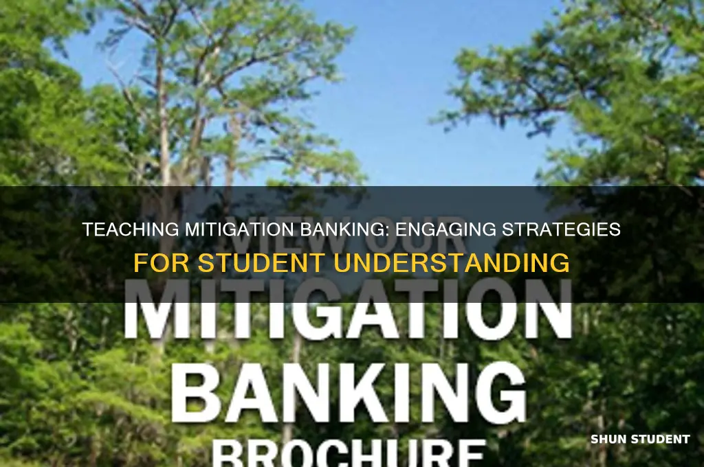 how to teach mitigation banking to students