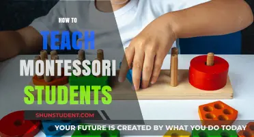 Effective Montessori Teaching Strategies for Engaging and Empowering Young Learners