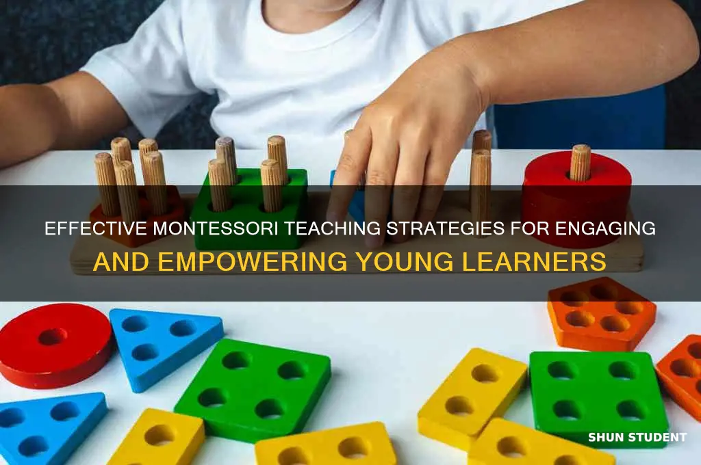how to teach montessori students