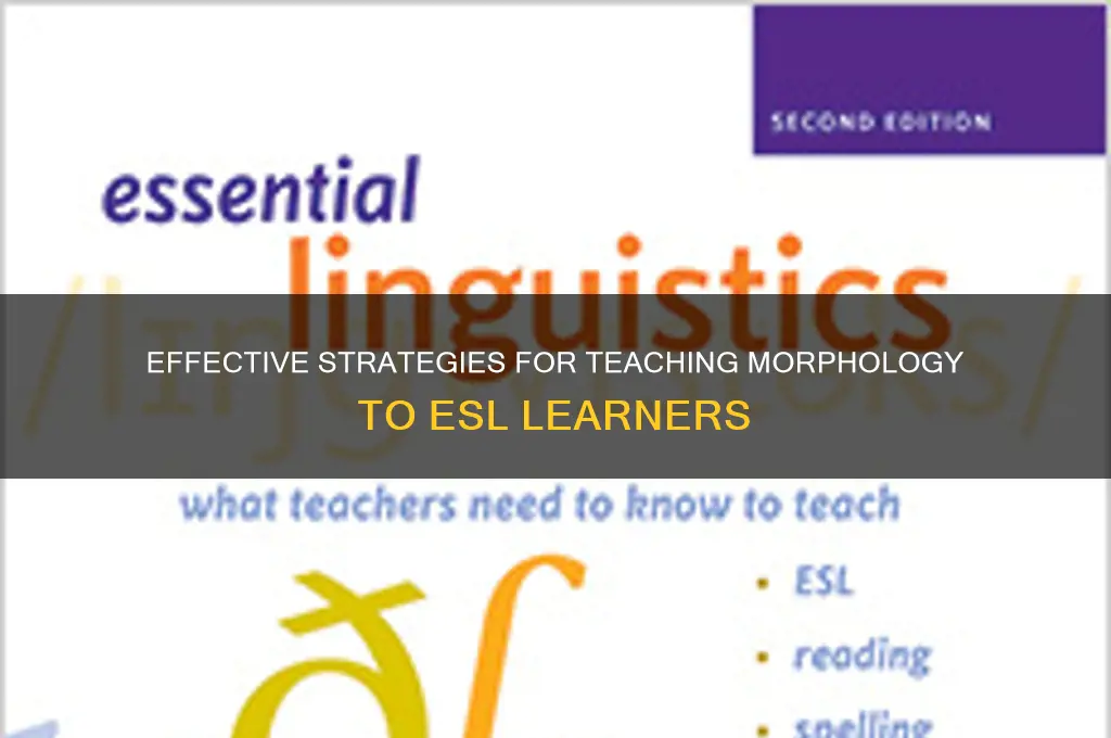 how to teach morphology to esl students