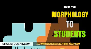 Effective Strategies for Teaching Morphology to Engaged Students