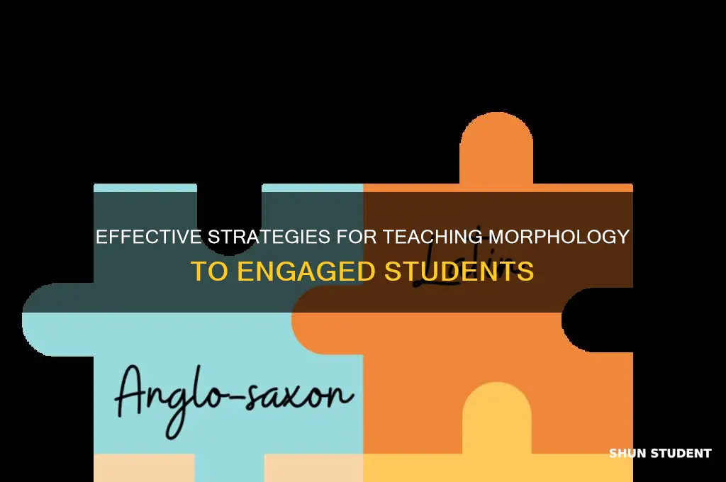 how to teach morphology to students