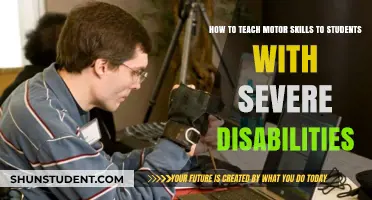 Empowering Movement: Teaching Motor Skills to Students with Severe Disabilities