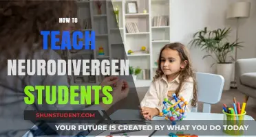 Empowering Neurodivergent Learners: Inclusive Teaching Strategies for Diverse Minds