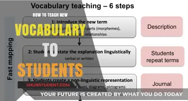 Effective Strategies for Teaching New Vocabulary to Engaged Students
