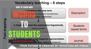 Effective Strategies for Teaching New Vocabulary to Engaged Students