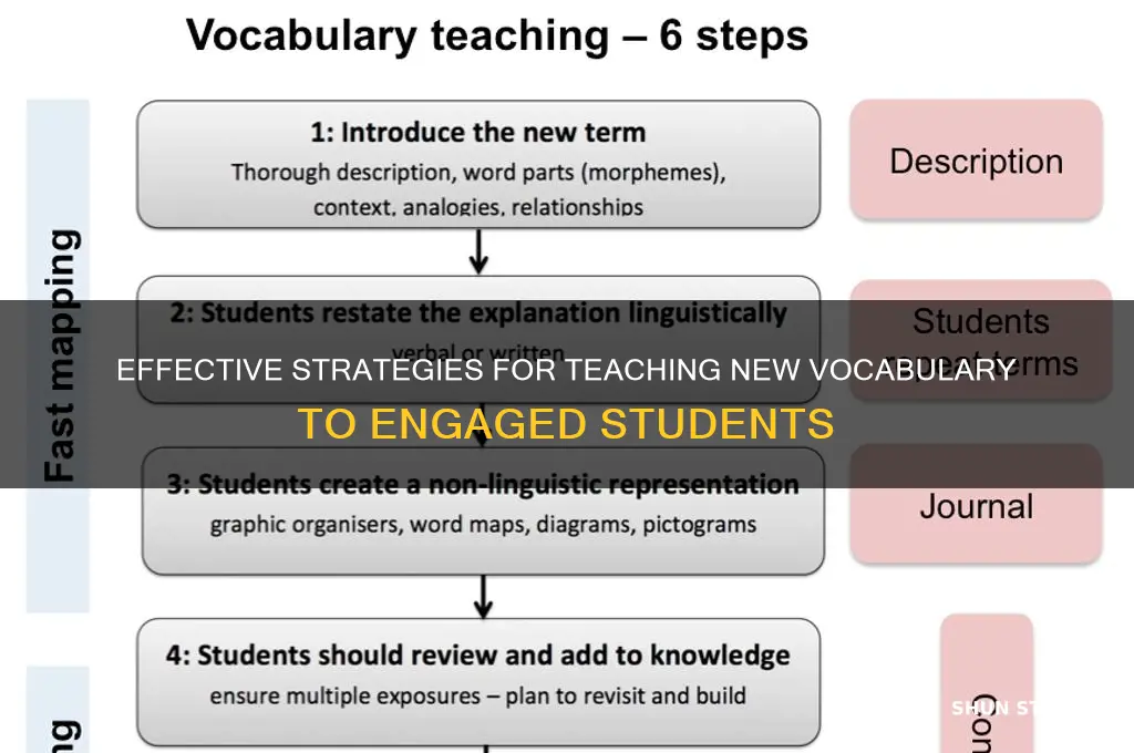 how to teach new words to students