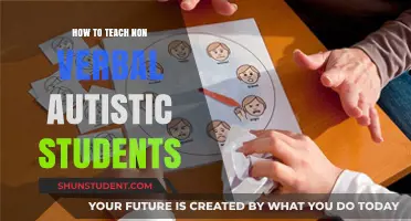 Effective Strategies for Teaching Non-Verbal Autistic Students Successfully