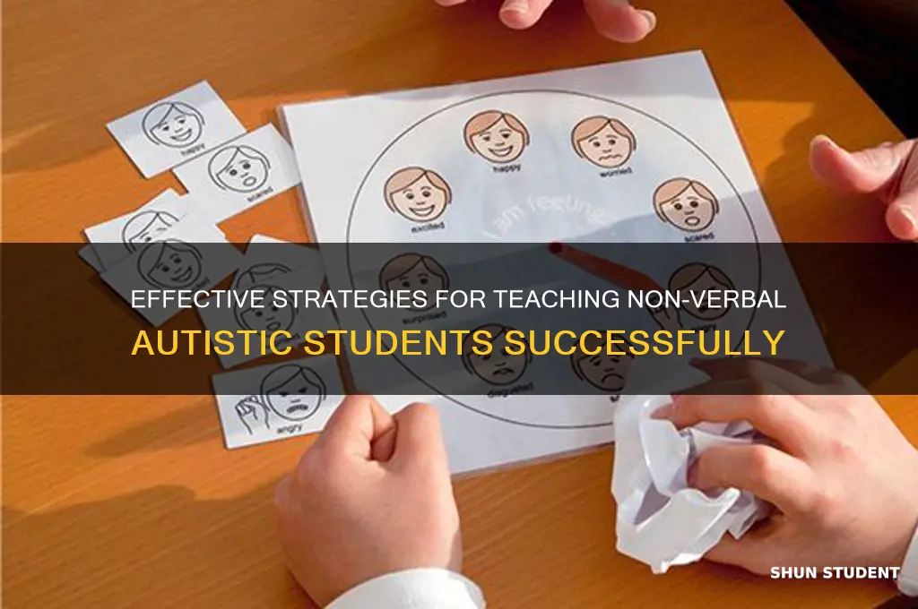 how to teach non verbal autistic students