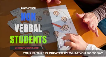 Empowering Silent Voices: Effective Strategies for Teaching Non-Verbal Students