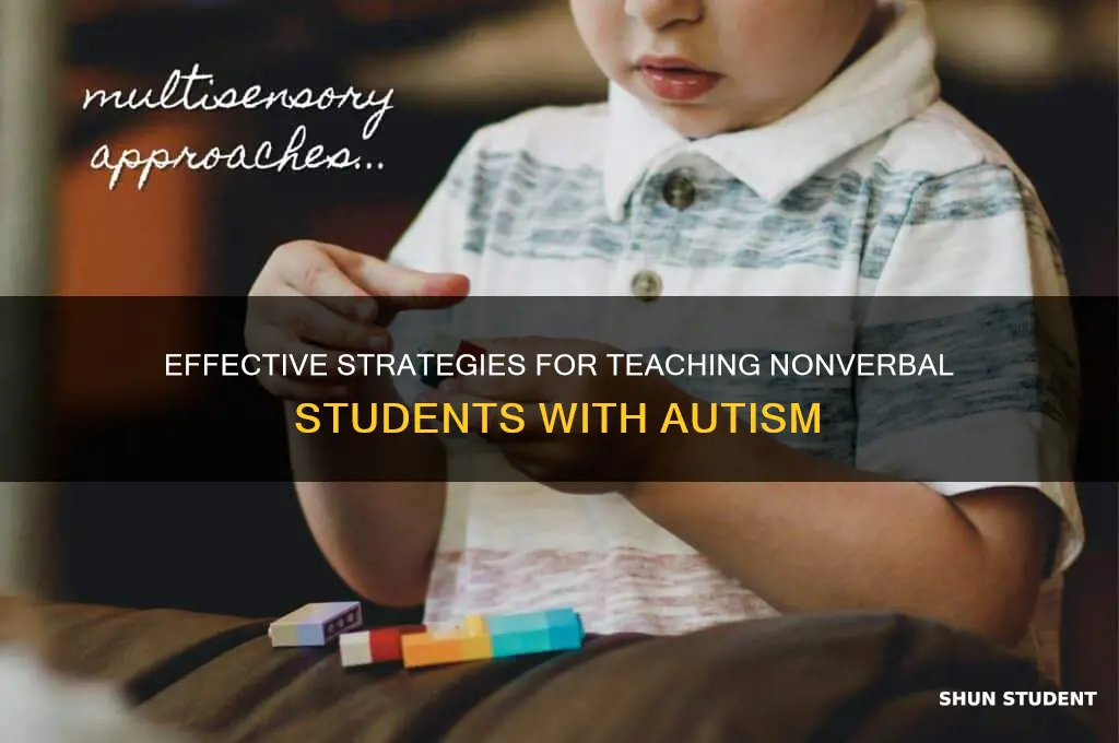 how to teach nonverbal students with autism