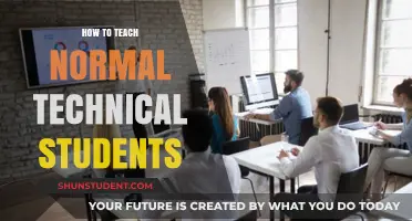 Effective Strategies for Teaching Technical Students in a Normal Classroom