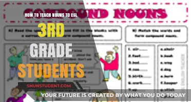Engaging Ways to Teach Nouns to ESL 3rd Graders Effectively