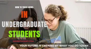 Effective Strategies for Teaching Novels to Undergraduate Students