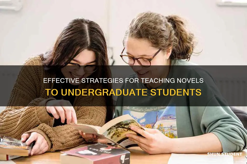 how to teach novel in undergraduate students