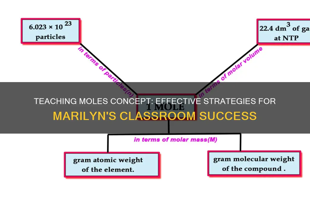 how to teach number of moles to students marilyn