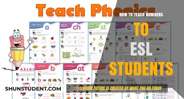 Effective Strategies for Teaching Numbers to ESL Learners