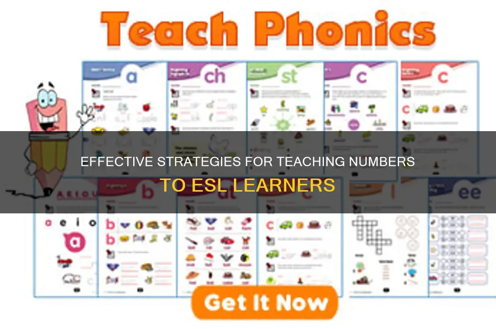 how to teach numbers to esl students