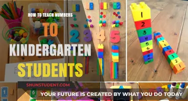Fun and Engaging Ways to Teach Numbers to Kindergarten Kids