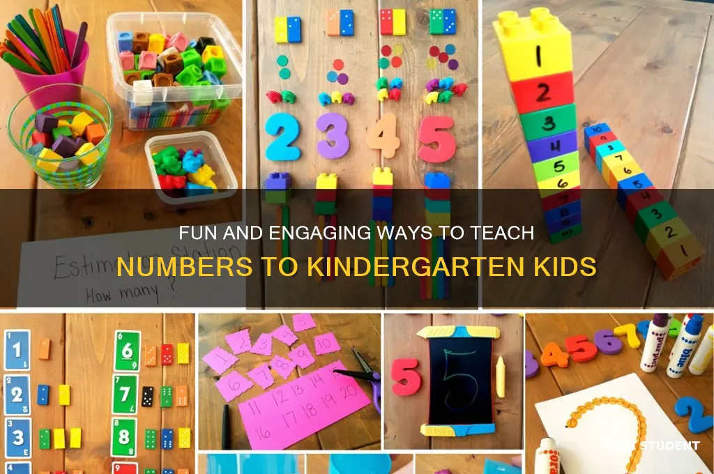 how to teach numbers to kindergarten students