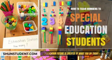 Effective Strategies for Teaching Numbers to Special Education Students