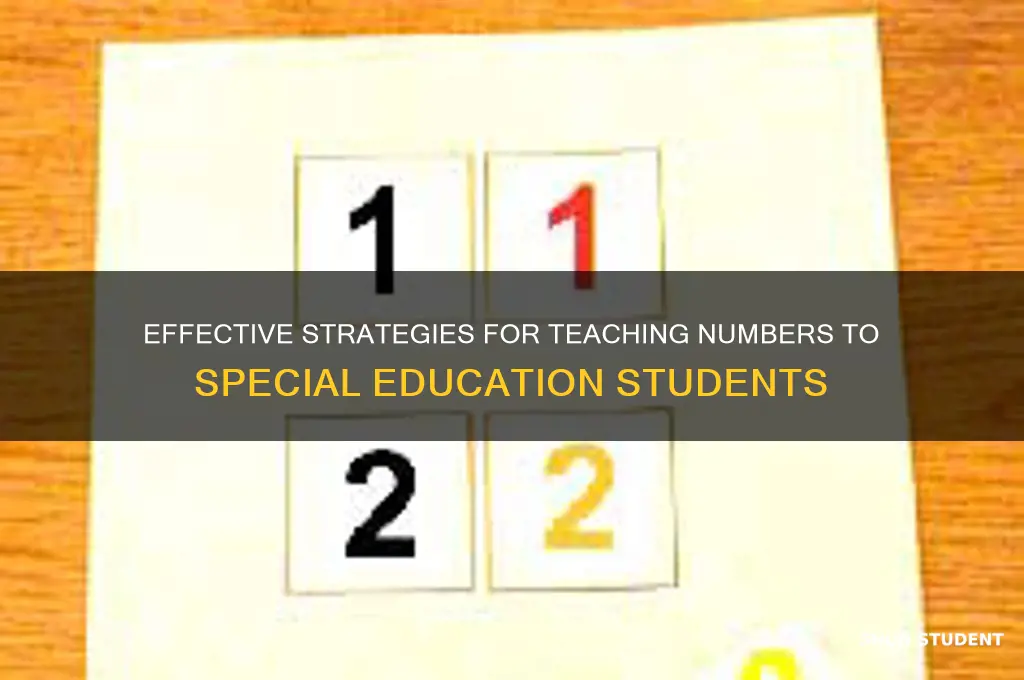 how to teach numbers to special education students
