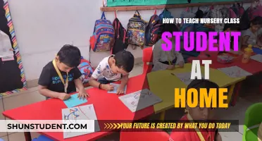 Effective Home Teaching Strategies for Engaging Nursery Class Students