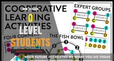Effective Strategies for Teaching O Level Students Successfully